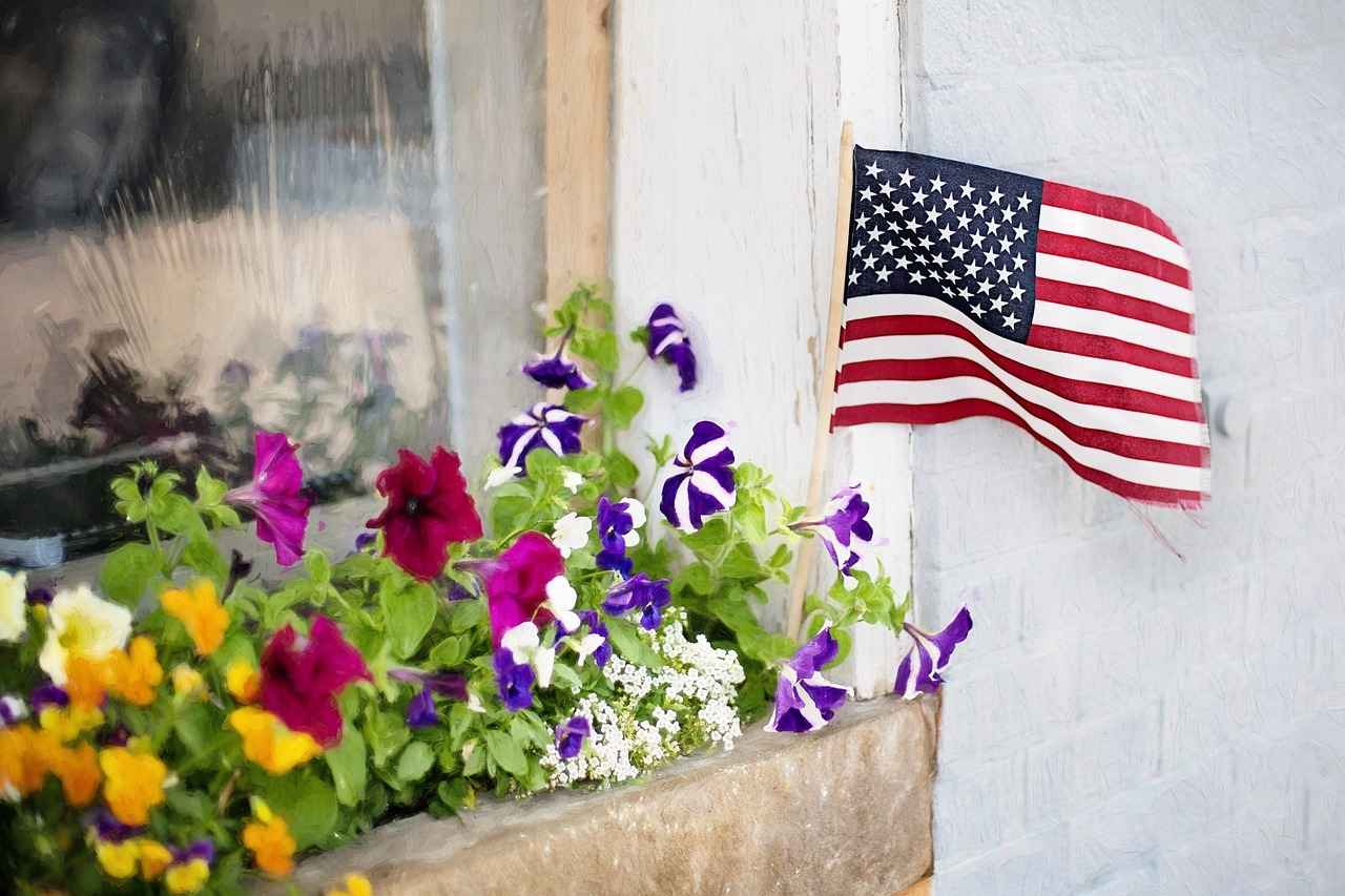 Future Trends in Indian American Political Engagement