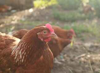 The Investor Who Sees the Future Chapter 35 Recap: Big Twists Ahead The Investor Who Sees the Future Chapter 35 Recap: Big Twists Ahead