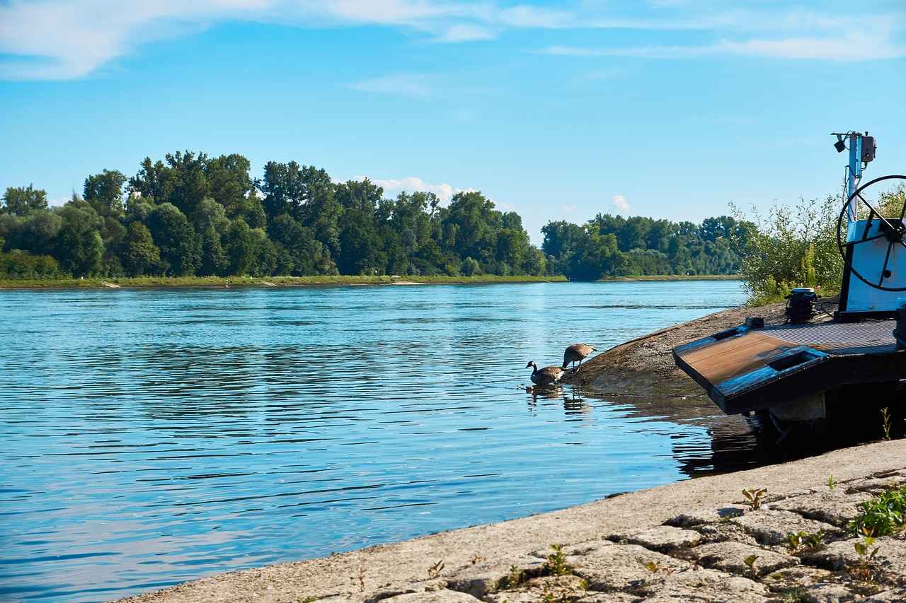 Character A's Revelation