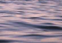 The Mental Benefits of Water Fasting: Improved Focus and Clarity The Mental Benefits of Water Fasting: Improved Focus and Clarity