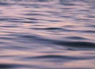 The Mental Benefits of Water Fasting: Improved Focus and Clarity The Mental Benefits of Water Fasting: Improved Focus and Clarity