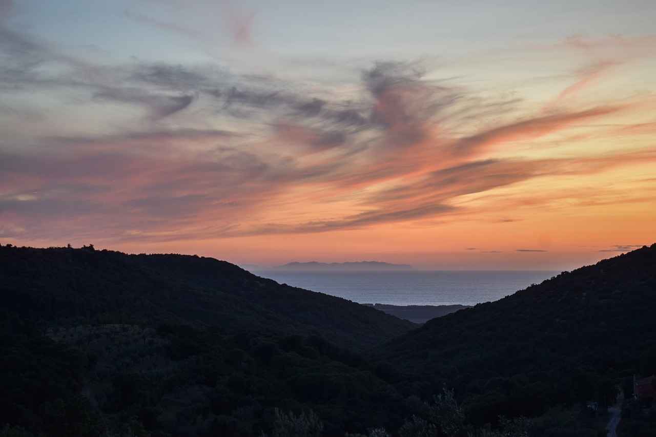 The Most Popular Vape Brands in 2025 4 Which Brands Offer the Best Flavors?