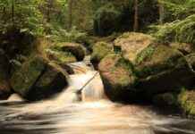 The Myths and Facts About Water Fasting You Need to Know The Myths and Facts About Water Fasting You Need to Know