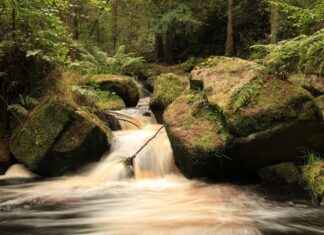 The Myths and Facts About Water Fasting You Need to Know The Myths and Facts About Water Fasting You Need to Know