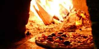 The Pizza Edition Explained: Is It a Game or a Meme? The Pizza Edition Explained: Is It a Game or a Meme?