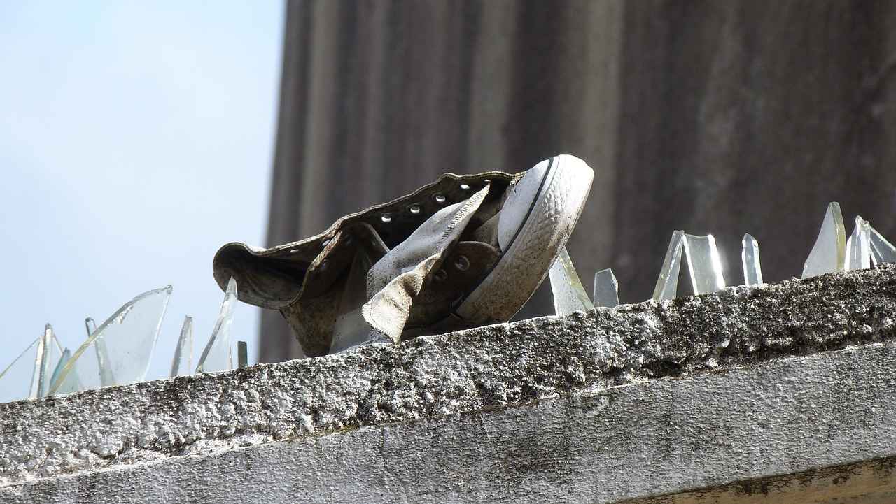 The Rise of New Balance 1906r 4 The Market Trends Surrounding the 1906r
