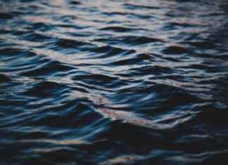 The Science Behind Water Fasting: How Your Body Adapts The Science Behind Water Fasting: How Your Body Adapts