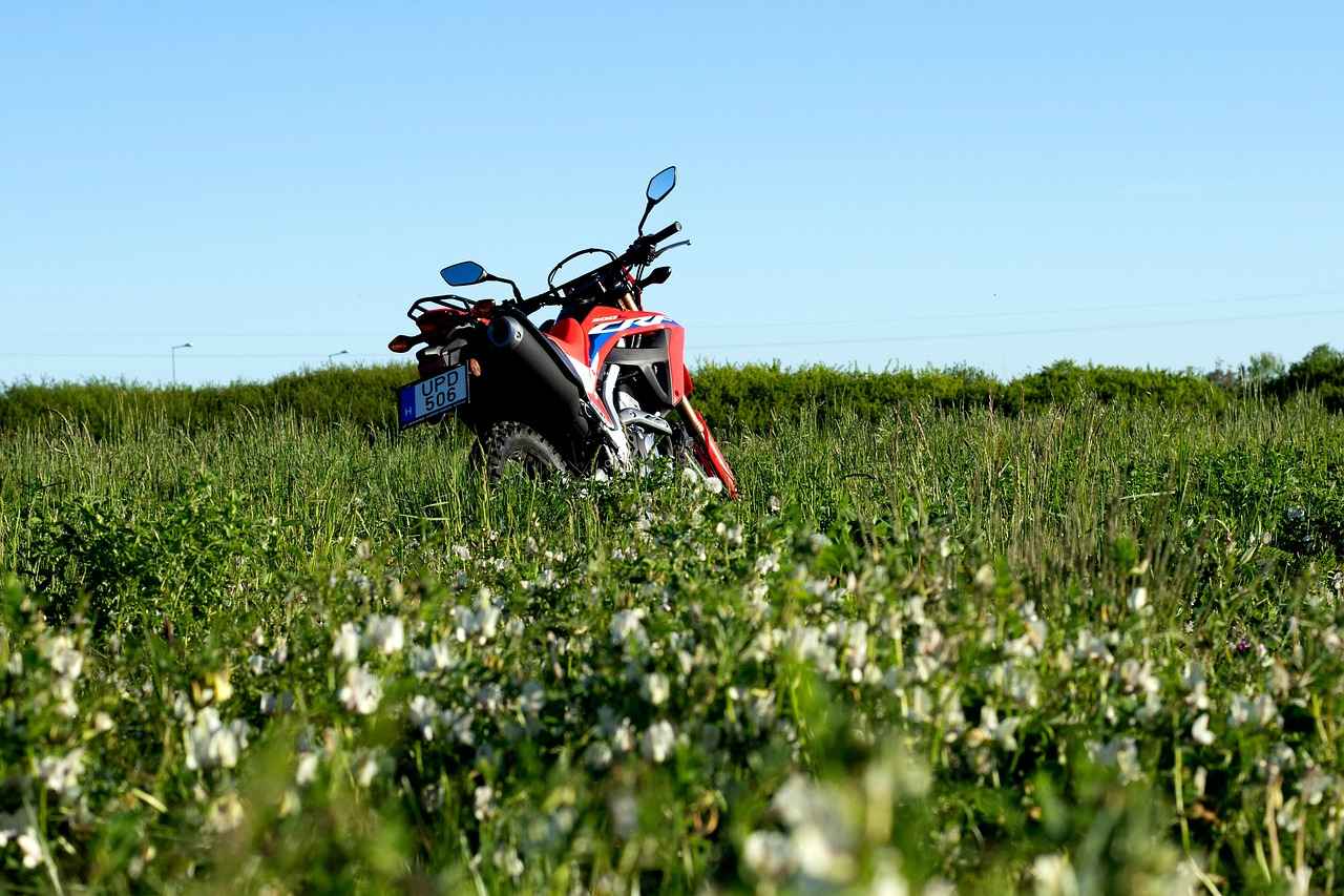 Fuel Efficiency and Environmental Impact