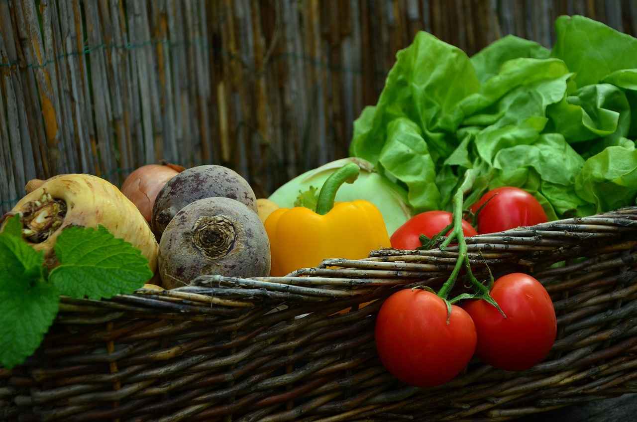 The Top 5 Vegetable Choppers for Beginners 1 1. Why Use a Vegetable Chopper?