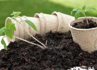 The Top Turkish Hair Transplant Clinics with the Best Success Rates The Top Turkish Hair Transplant Clinics with the Best Success Rates