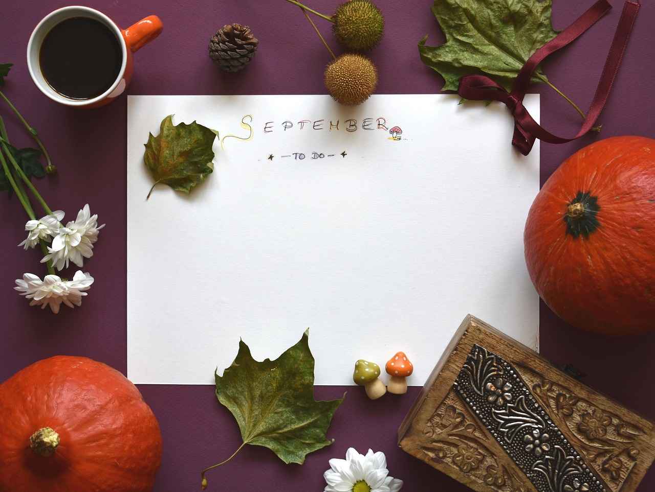 Pricing Plans and Options