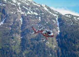 The Ultimate Guide to Choosing the Best Vegetable Chopper for Your Budget The Ultimate Guide to Choosing the Best Vegetable Chopper for Your Budget