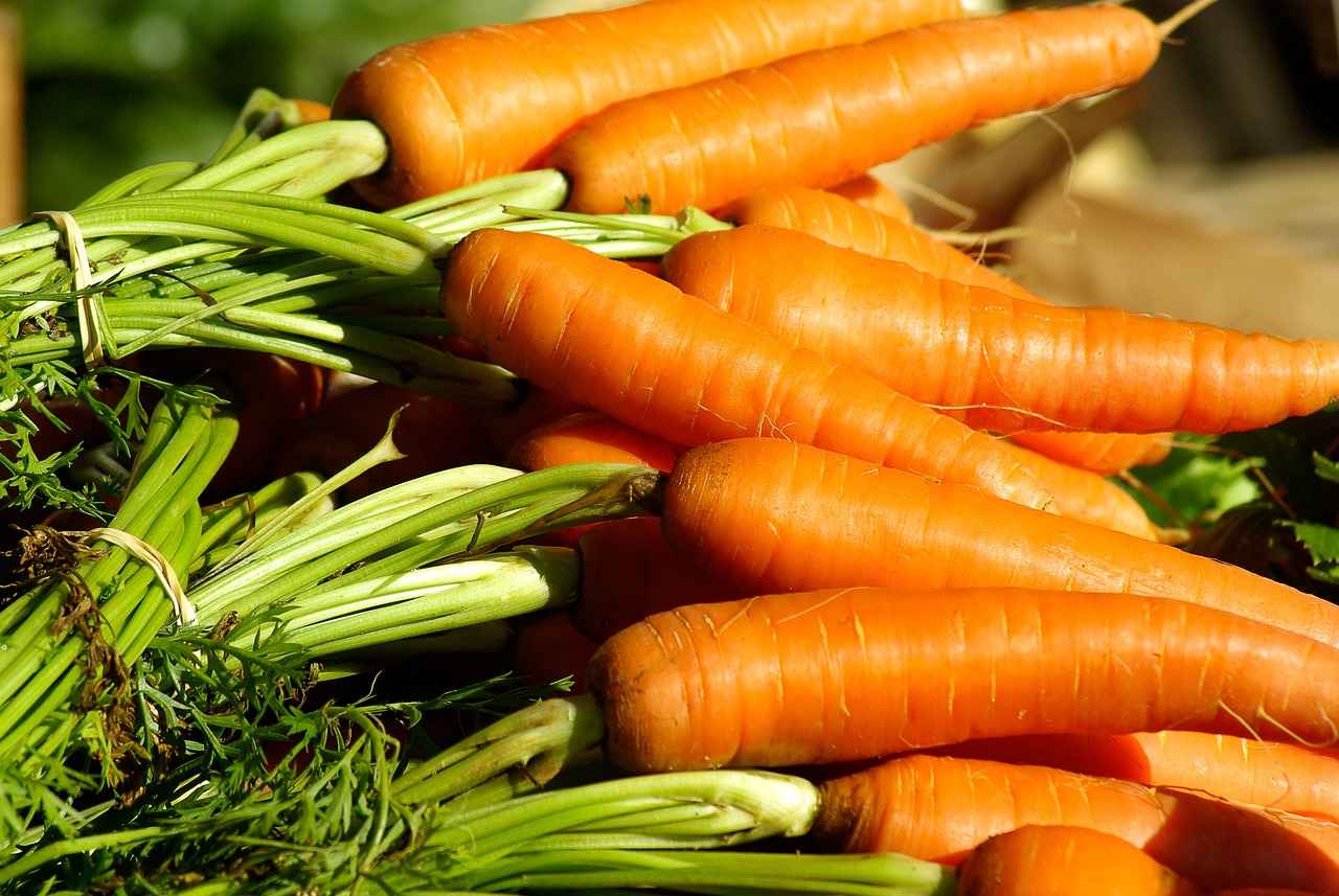 The Ultimate Guide to Choosing the Best Vegetable Chopper for Your Budget 6 6. Maintenance and Care Tips
