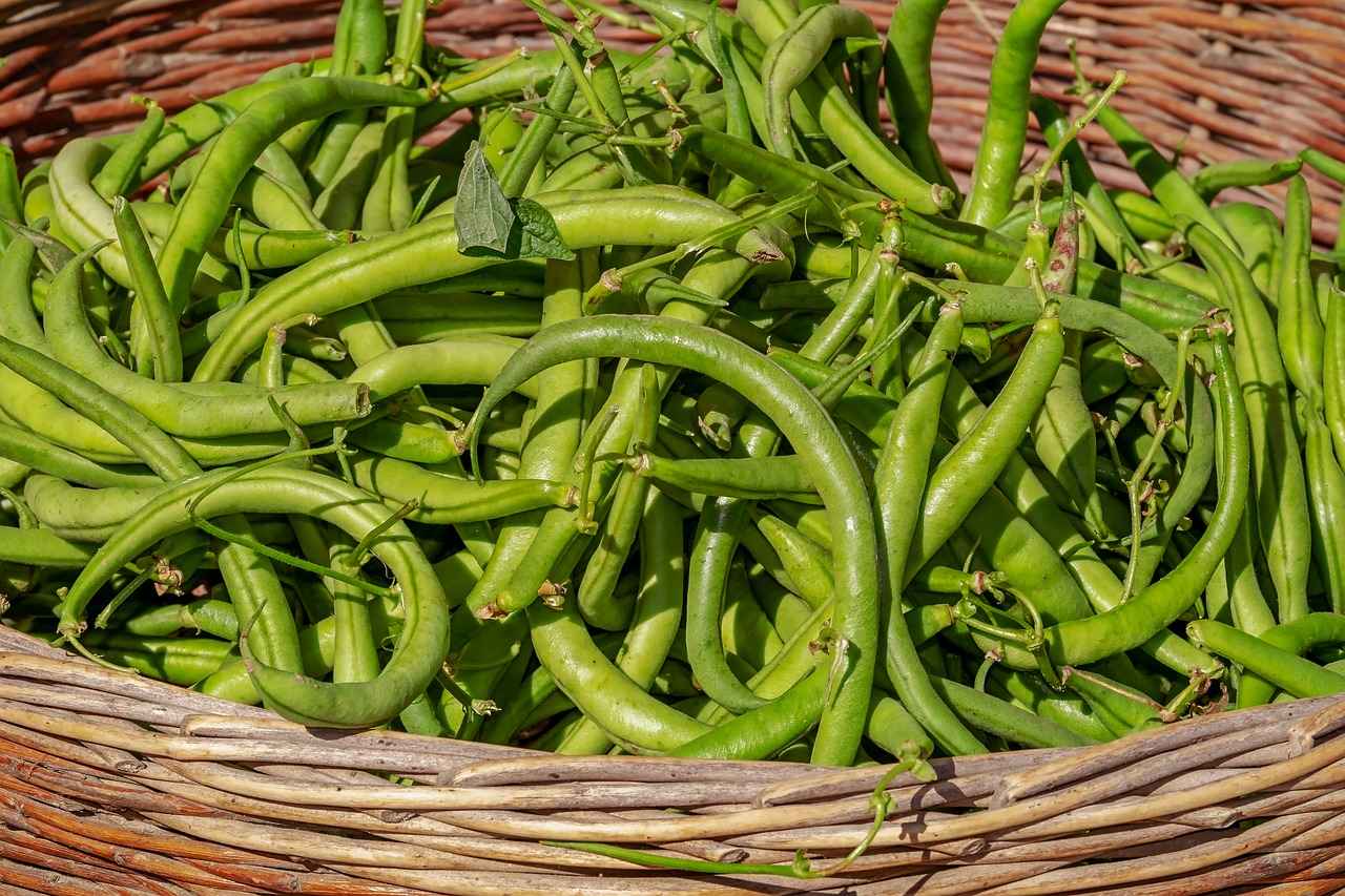The Ultimate Guide to Choosing the Best Vegetable Chopper for Your Kitchen 8 Conclusion: Making the Right Choice