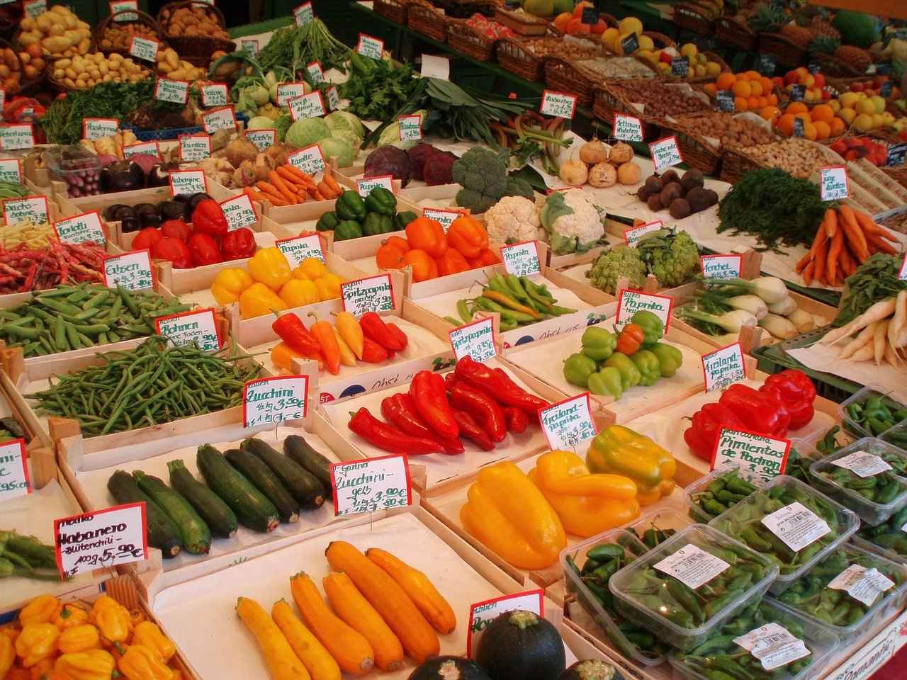 The Ultimate Guide to Choosing the Best Vegetable Choppers in 2023 1 1. Understanding Vegetable Choppers
