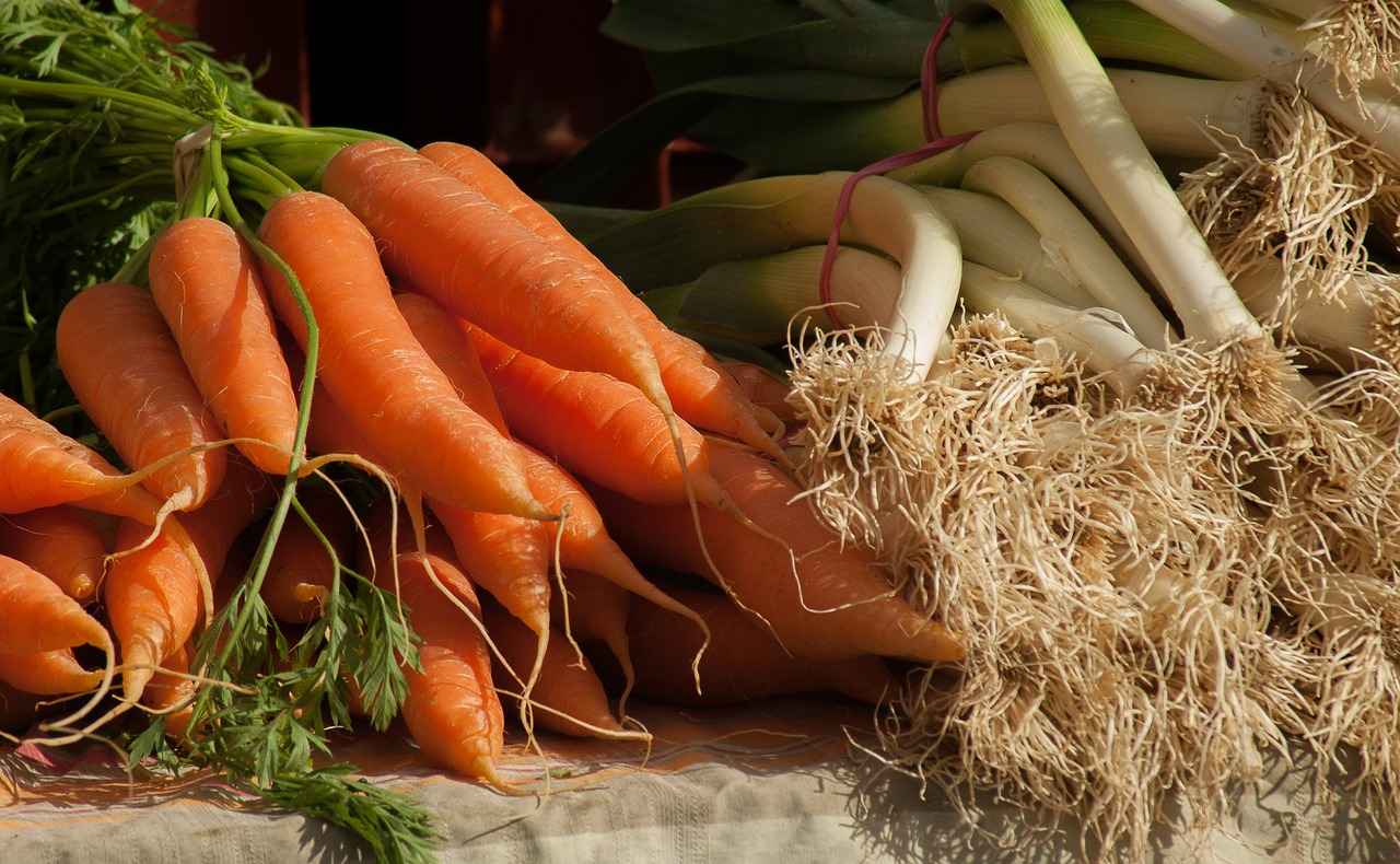 The Ultimate Guide to Choosing the Best Vegetable Choppers in 2023 2 2. Types of Vegetable Choppers