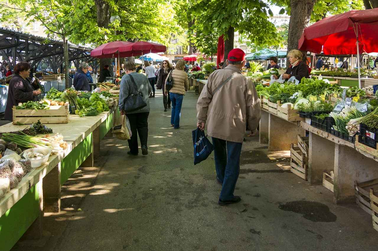 The Ultimate Guide to Choosing the Best Vegetable Choppers in 2023 10 10. Conclusion: Making the Right Choice