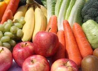 The Ultimate List of the Best Vegetable Choppers for Beginners The Ultimate List of the Best Vegetable Choppers for Beginners