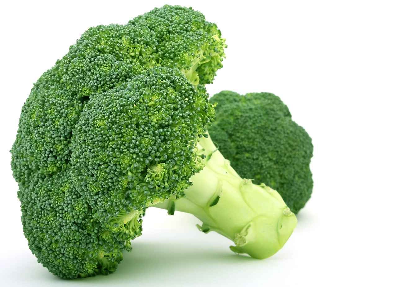 The Ultimate List of the Best Vegetable Choppers for Beginners 2 2. Top Manual Vegetable Choppers