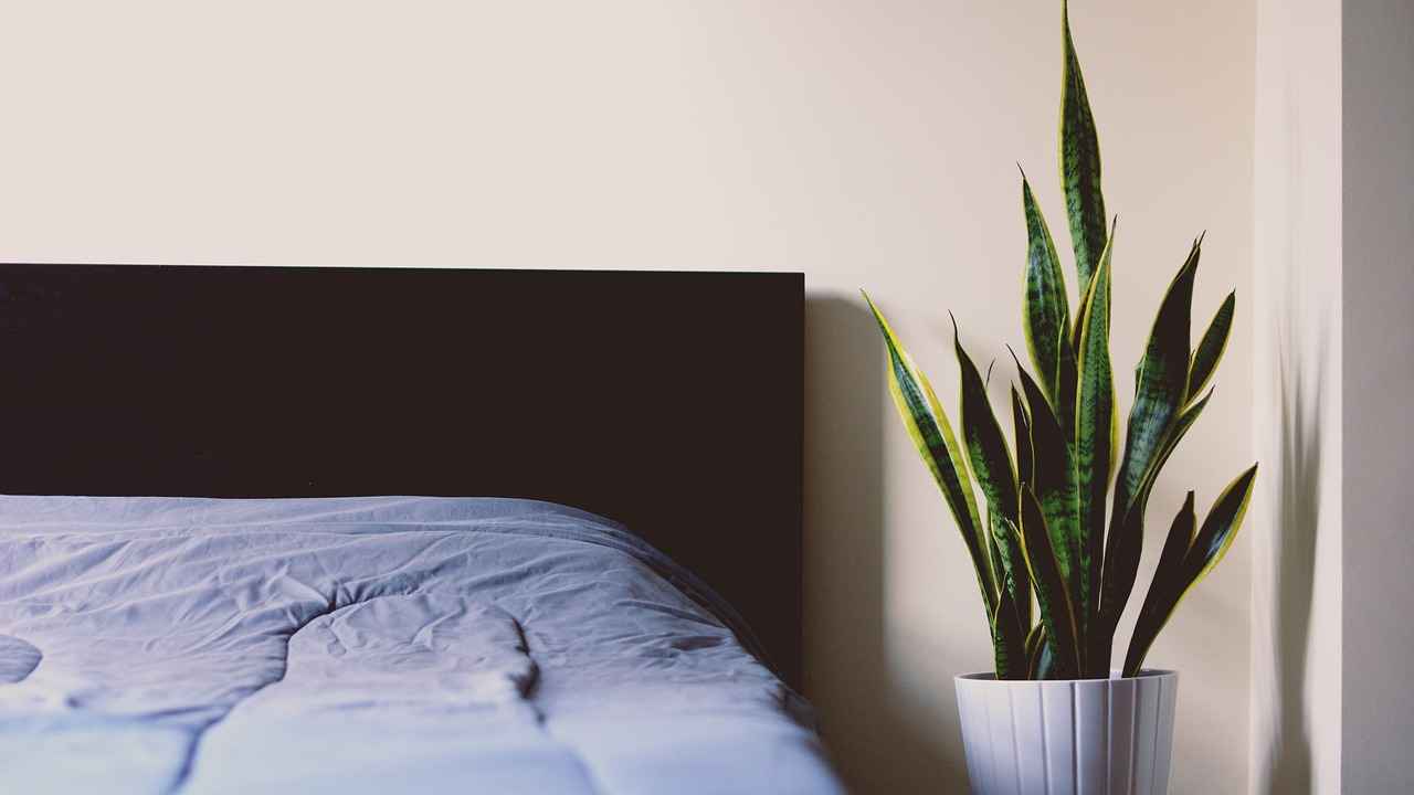 Timeless & Elegant Classic Bed Design Inspirations 4 Incorporating Accessories for Elegance