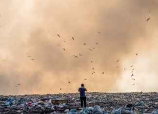 Top 10 Disposable Vapes with the Best Flavors Top 10 Disposable Vapes with the Best Flavors