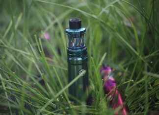 Top 10 Disposable Vapes You Need to Try This Year Top 10 Disposable Vapes You Need to Try This Year