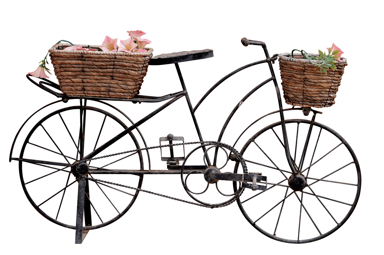1. Environmental Impact of Electric Bikes