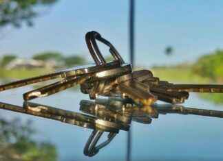 Top Bike Phone Holders for Cyclists: Best Picks for 2025 Top Bike Phone Holders for Cyclists: Best Picks for 2025