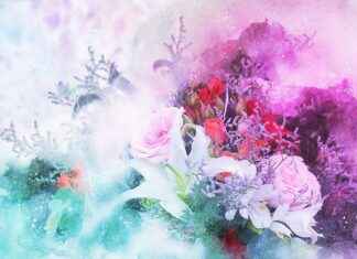 Top Custom T-Shirt Printing Services for Small Business Owners Top Custom T-Shirt Printing Services for Small Business Owners