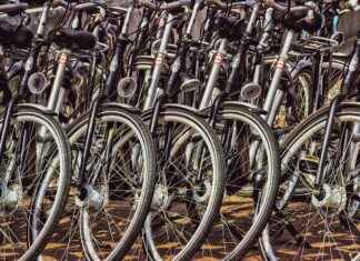 Top Electric Bike Shops Near Me: What You Need to Know Before You Visit Top Electric Bike Shops Near Me: What You Need to Know Before You Visit