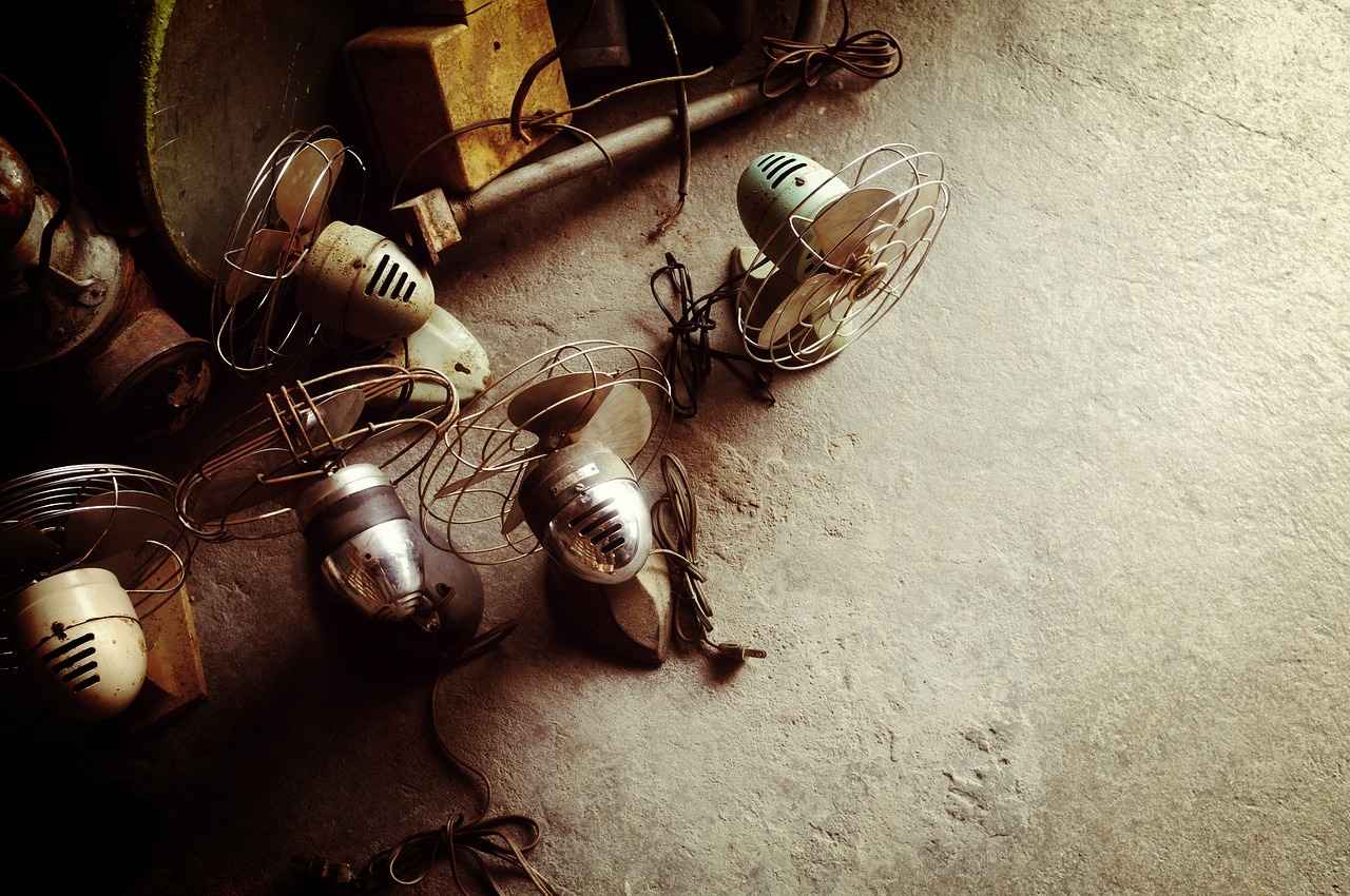 Fan Reactions and Atmosphere