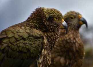 Top New Balance Outlets Near Me: A Shopper’s Guide Top New Balance Outlets Near Me: A Shopper's Guide