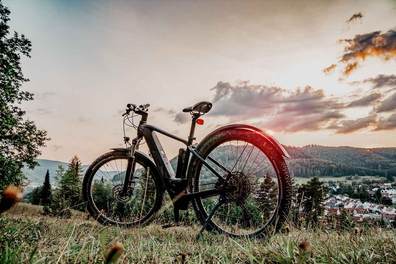 7. Price Ranges and Budgeting for Your E-MTB