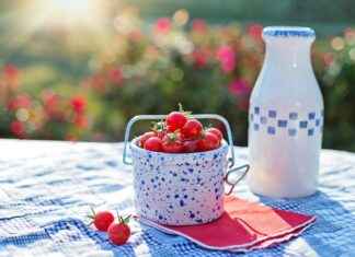 Top Vegetable Choppers for Making Soups and Stews Faster Top Vegetable Choppers for Making Soups and Stews Faster