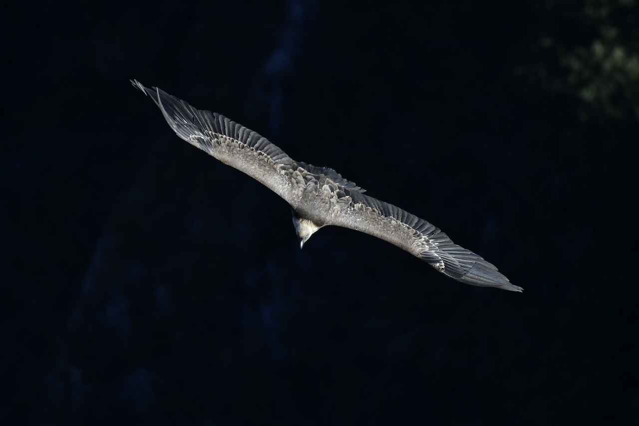 Head-to-Head Matchup Overview