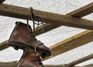 Tracing the History of New Balance Numeric Skate Shoes Tracing the History of New Balance Numeric Skate Shoes