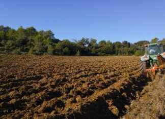 Tractor Movies for Kids: Fun Adventures on the Farm Tractor Movies for Kids: Fun Adventures on the Farm