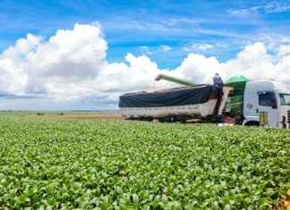 Tractor Supply Sales Associate Job Description & Salary in 2025 Tractor Supply Sales Associate Job Description & Salary in 2025