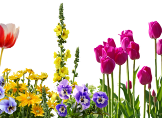 Trendy Palang Bed Design Inspirations for Traditional Homes Trendy Palang Bed Design Inspirations for Traditional Homes