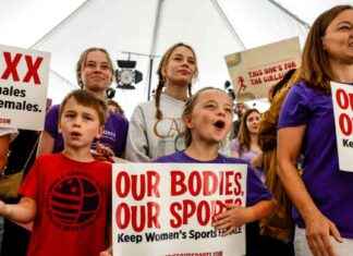 Trump Administration Launches Title IX Investigation Team for Transgender Sports trump-administration-launches-title-x-nvestigation-team-for-transgender-sports