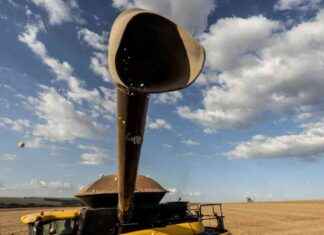 Trump’s Tariff Strategy: A Guaranteed Losing Gamble trumps-tariff-strategy-a-guaranteed-losing-gamble