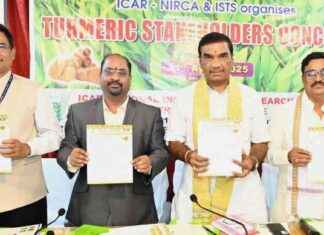 Turmeric-Infused Milk for In-Flight and Train Passengers turmeric-nfused-milk-for-n-flight-and-train-passengers