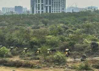 Uncovering the Hidden Beauty of Kancha Gachibowli uncovering-the-hidden-beauty-of-kancha-gachibowli