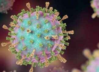 Understanding Texas’ High Number of Measles Cases: Key Information understanding-texas-high-number-of-measles-cases-key-nformation