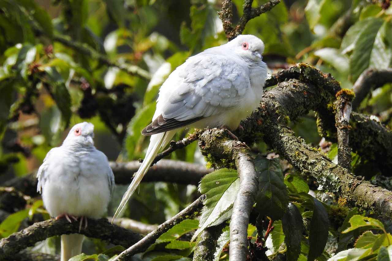 Understanding the 4Cs: How Diamond Quality Affects Resale Value 1 What Are the 4Cs of Diamonds?