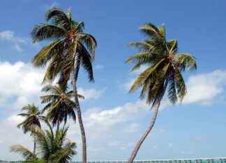 Unlocking the Secrets of the 2024 Honda Civic Sport Touring Unlocking the Secrets of the 2024 Honda Civic Sport Touring