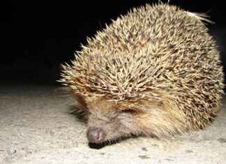 Using Guest Blogging to Build a Highly Engaged Email List Using Guest Blogging to Build a Highly Engaged Email List