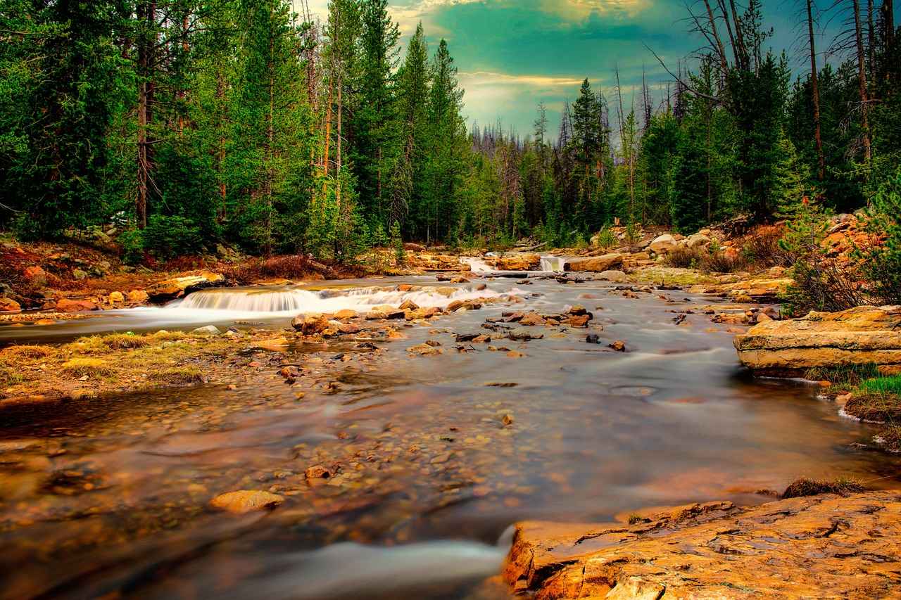 Statistical Breakdown