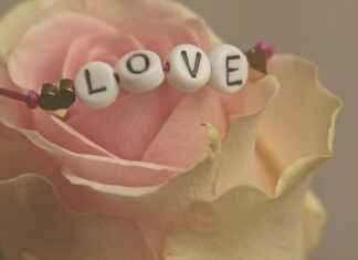 Valentine Movie for Kids: Celebrate Love with These Films Valentine Movie for Kids: Celebrate Love with These Films