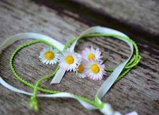 Valentine’s Day Movies for Kids: Heartwarming Films to Celebrate Love Valentine's Day Movies for Kids: Heartwarming Films to Celebrate Love